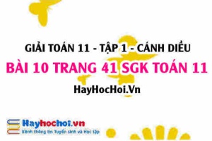 Giải bài 10 trang 41 Toán 11 tập 1 SGK Cánh Diều